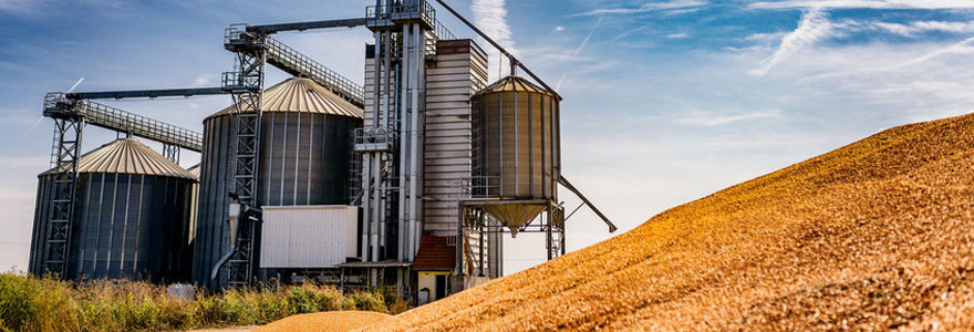 Silo tour pour exploitation agricole